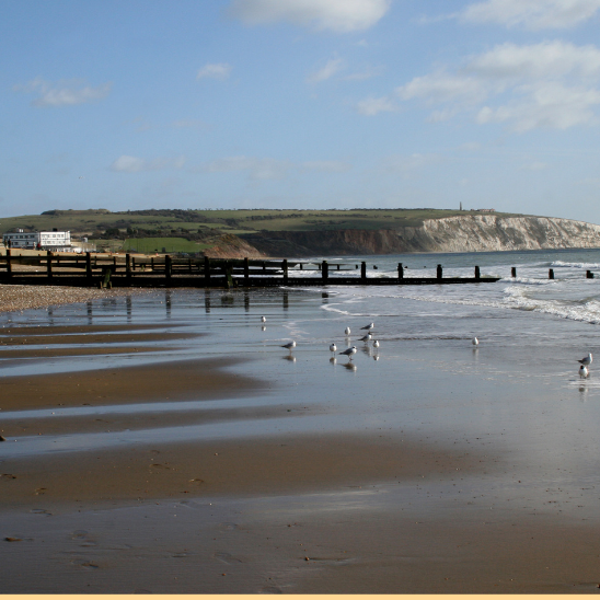 The Isle of Wight Guide by The Wight Concierge